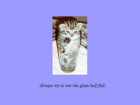 catbeer.jpg