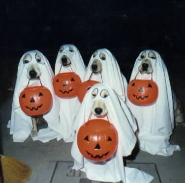 image015.jpg